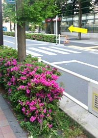 地上に出たら、通りに対して左方向にある信号のない横断歩道を渡り、左へ曲がります。